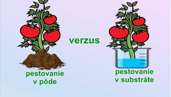 Zabúdame na chuť vypestovanej paradajky s vôňou slnka.